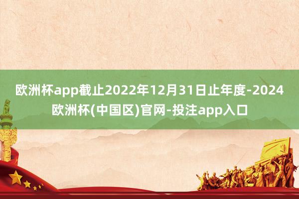 欧洲杯app截止2022年12月31日止年度-2024欧洲杯(中国区)官网-投注app入口