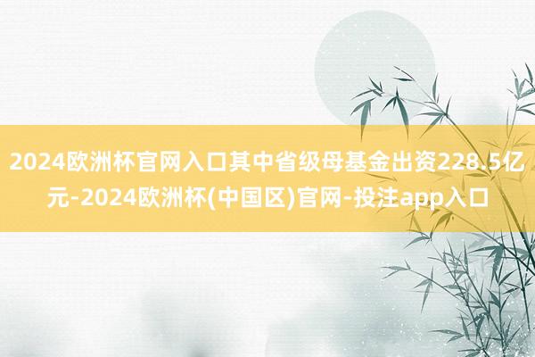 2024欧洲杯官网入口其中省级母基金出资228.5亿元-2024欧洲杯(中国区)官网-投注app入口